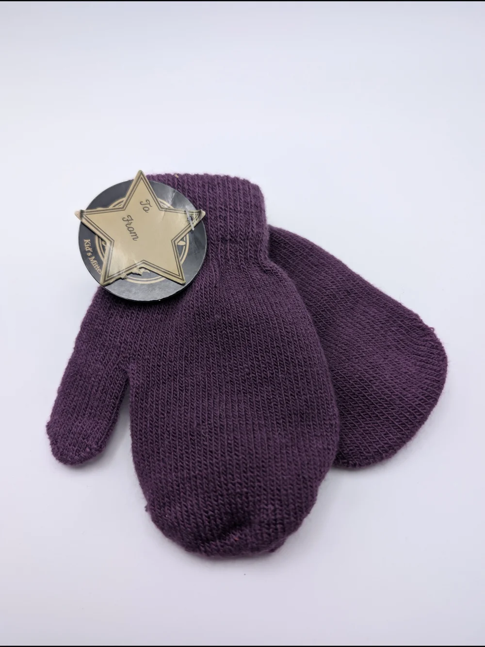 Jo-Ann Fabrics Kids Nwt Purple Mittens 2016, Brand New